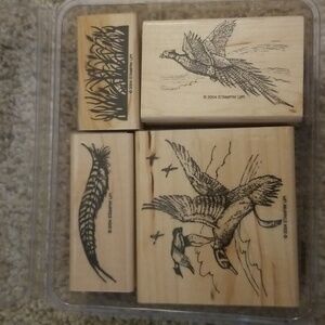 Stampin Up Wildfowl Stamp set